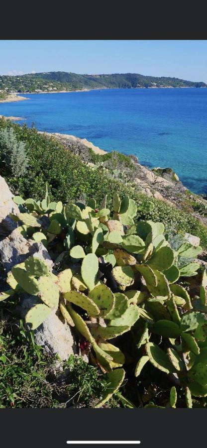 La Dolce Vita Mazet A Gassin Golfe De Saint Tropez Eksteriør bilde